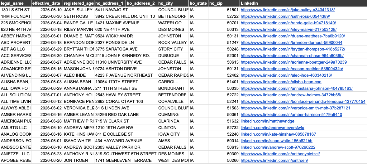 Sample Iowa dataset preview